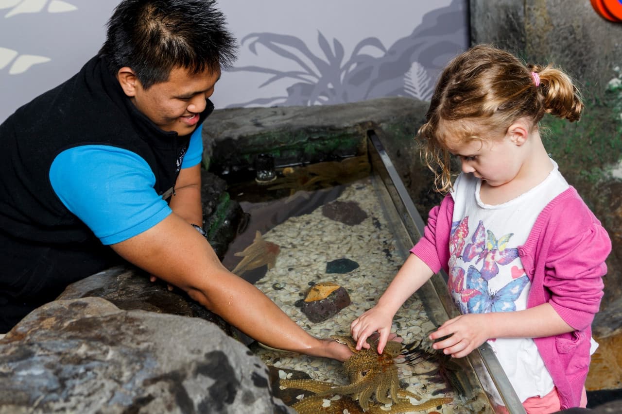 Auckland SEA LIFE Kelly Tarlton's Aquarium Ticket - image 4